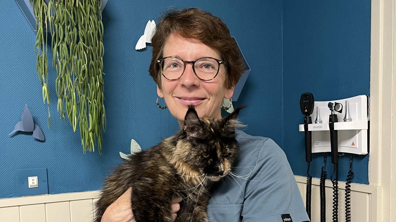 Dr Martine SCHAEFER